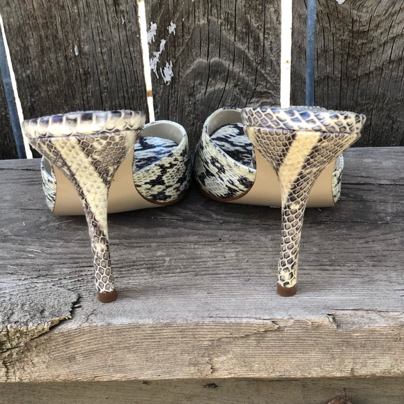 ✨NEW✨STEVE MADDEN PYTHON - Picture 3 of 8